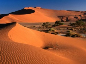 Namib sand dunes