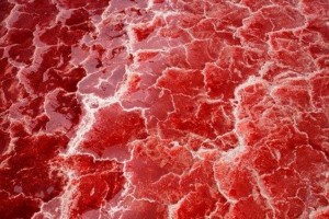 Lake Natron, Tanzania