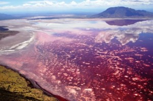 Lake Natron, Tanzania