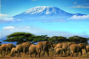 Amboseli National Park, Kenya