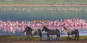 Ngorongoro Conservation Area, Tanzania