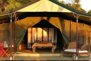 Elephant Pepper Camp, Maasai Mara
