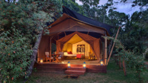 Elephant Pepper Camp, Maasai Mara