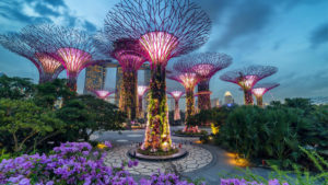 Gardens y the Bay, Singapore