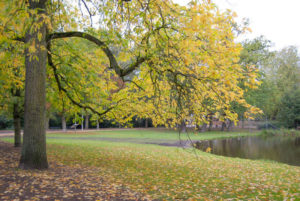 Vondelpark
