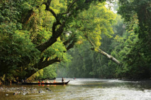 Taman Negara