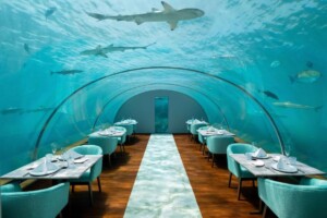 Ithaa Undersea Restaurant, Maldives 