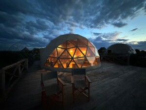 Kuoom Serengeti