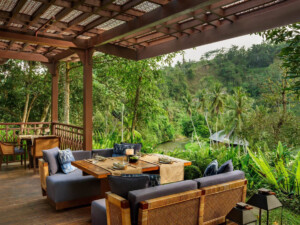 Sawah Terrace