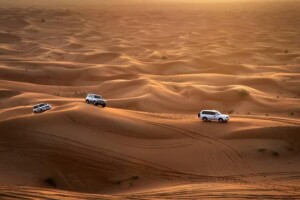 Desert Safari
