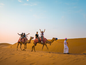 Desert Safari