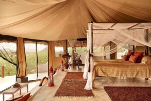 Sasaab Camp
